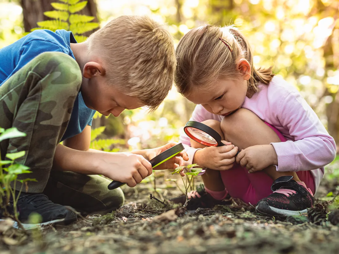Two children exploring the woods with magnifying glasses, discovering nature together